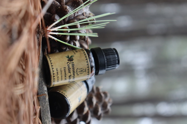 Cedar Wood Oil