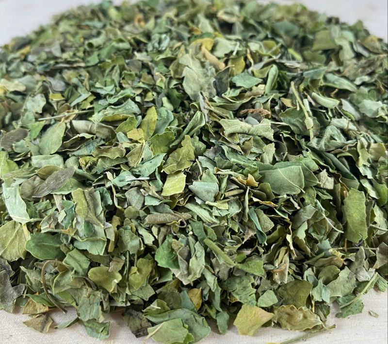 Natural Green Moringa Dried Leaves for Medicine
