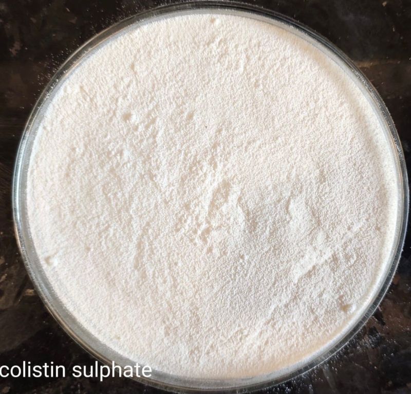 Colistin Sulphate Powder for Animals Feed Veterinary