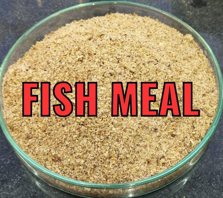 Fish Meal, Packaging Type : Jute Bags