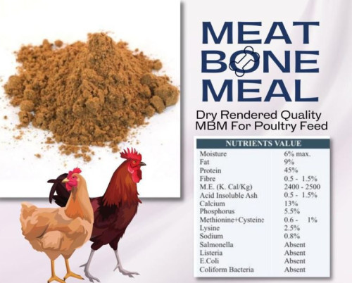 Meat Bone Meal for Animal Feed