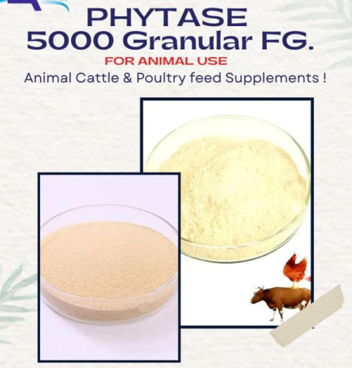 Natural Phytase 5000 Iu Granules for Cattle Feed