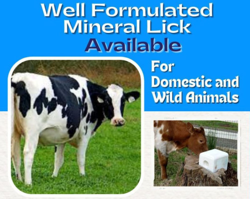 Well Formulated Mineral Salt Lick Block for Feed supplement