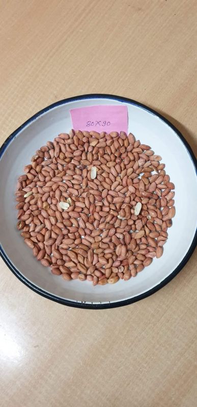 Groundnut Seeds