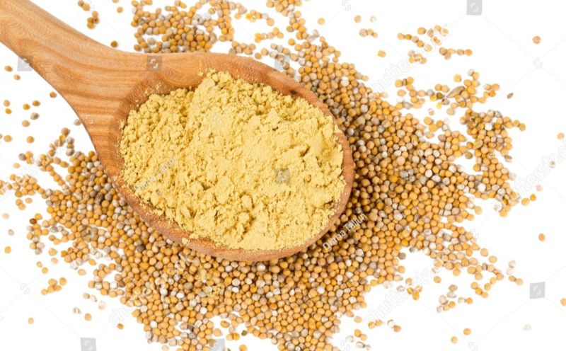 Yellow Mustard Powder for Cooking