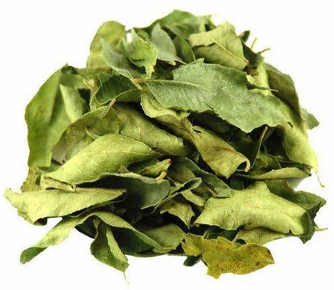 Natural Dry Curry Leaves For Medicine Use