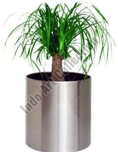 Plain Polished Stainless Steel Planter, Specialities : Hard Structure, Easy To Placed