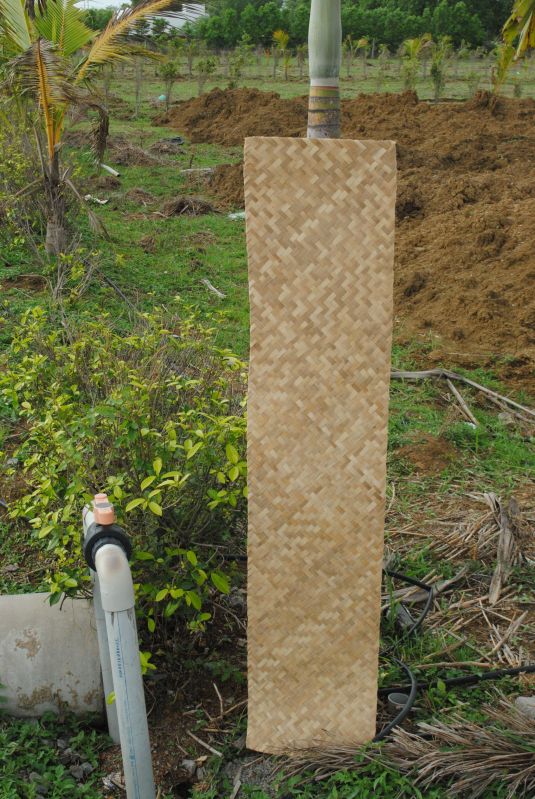Plain Rectangular Bamboo Mat, Color : Natural Brown