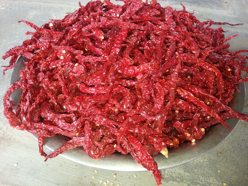 Dired Byadgi Red Chilli for Cooking