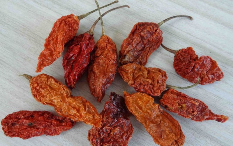 Dried Bhut Jolokia Red Chilli for Cooking