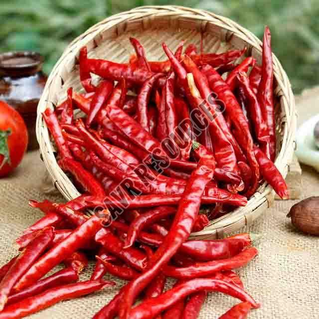 Raw Common Dried Red Chilli for Cooking