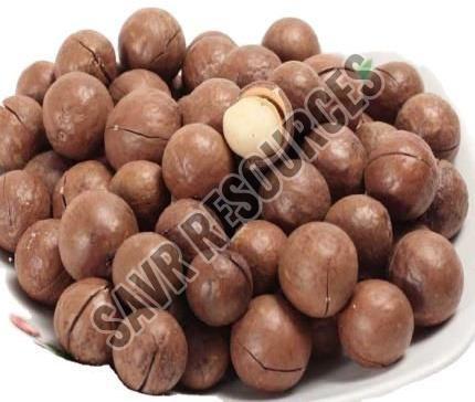 macadamia nuts