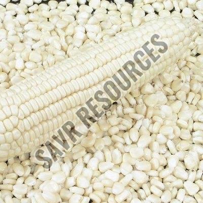 White Corn