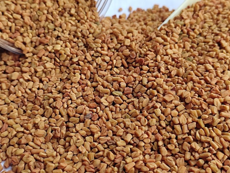 Brown Fenugreek Seeds for Cooking