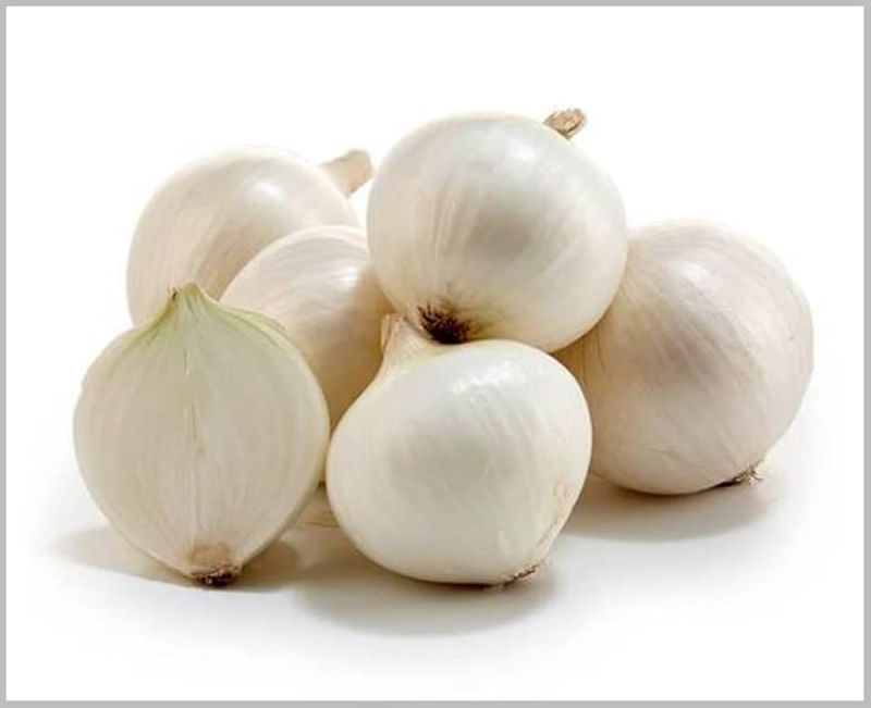 Fresh White Onion for Cooking