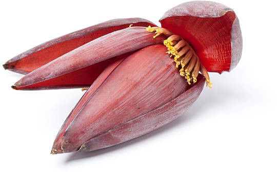 Banana Flower for Restaurant, Home