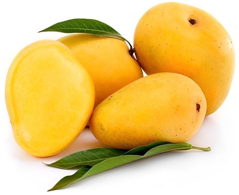 Fresh Badami Mango for Juice Making, Food Processing, Direct Consumption
