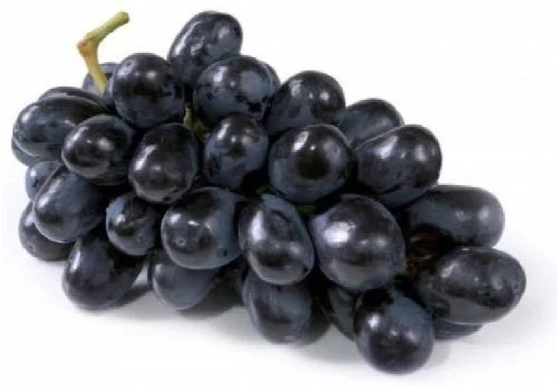 Fresh Black Grapes, Taste : Sweet