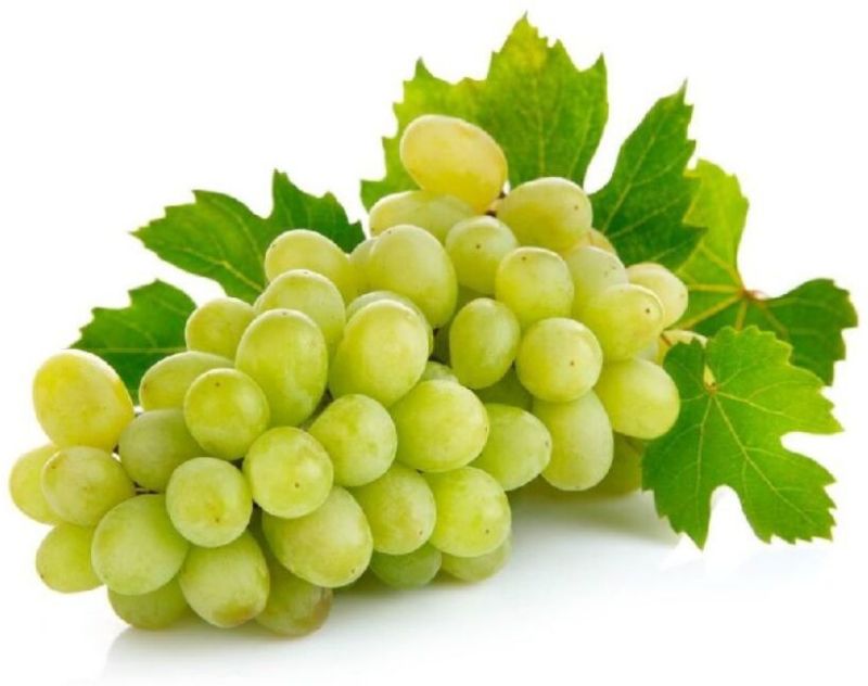 Natural Fresh Green Grapes for Human Consumption