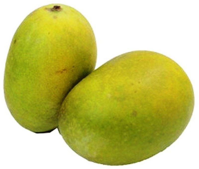 Natural Fresh Langra Mango for Juice Making, Food Processing, Direct Consumption