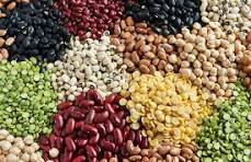 Pulses For Cooking