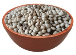 Richbloom Cluster Beans Seeds, Packaging Size : 25 Kg, 50 Kg