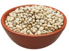 Richbloom Cowpea Seeds, Specialities : Non Harmul, Hybrid, Healthy