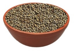 Richbloom Fodder Seeds, Packaging Size : 25kg, 50kg