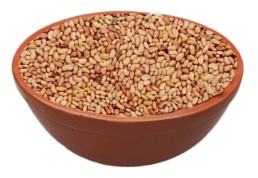 Richbloom Lucerne Seeds, Packaging Size : 25kg, 50kg