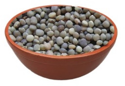Richbloom Veg Guar Seeds, Packaging Size : 25 Kg, 50 Kg