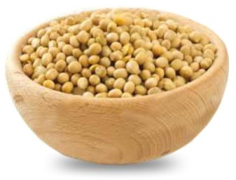 RichBloom Soybean Seeds