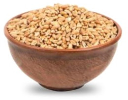 Richbloom Wheat Seeds, Packaging Size : 25kg, 50kg