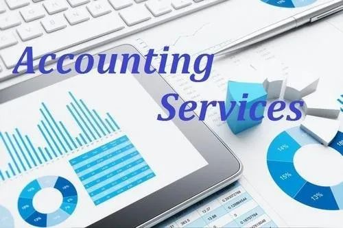 Professional Accounting Service