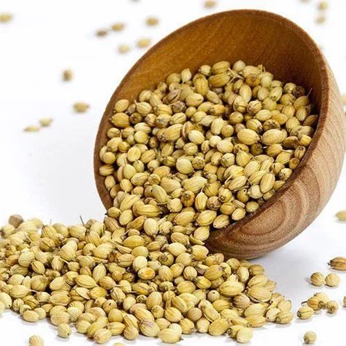Raw Coriander Seeds for Cooking