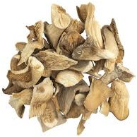 Brown Oyster Mushroom for Cooking