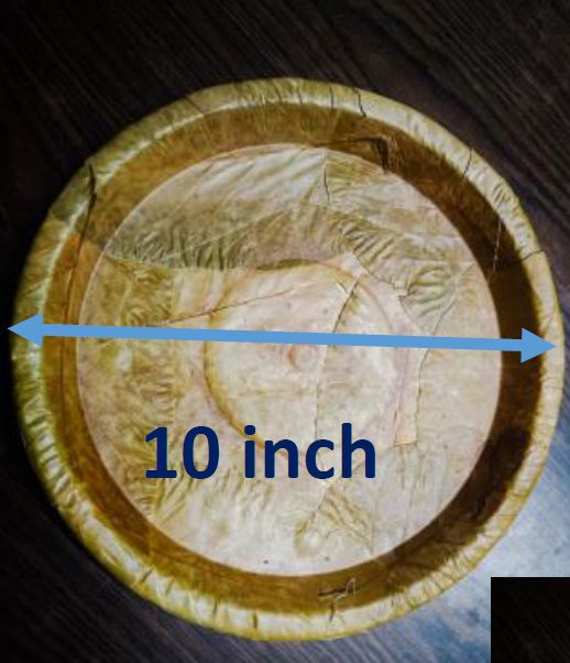 10 Inch Sal Leaf Plates