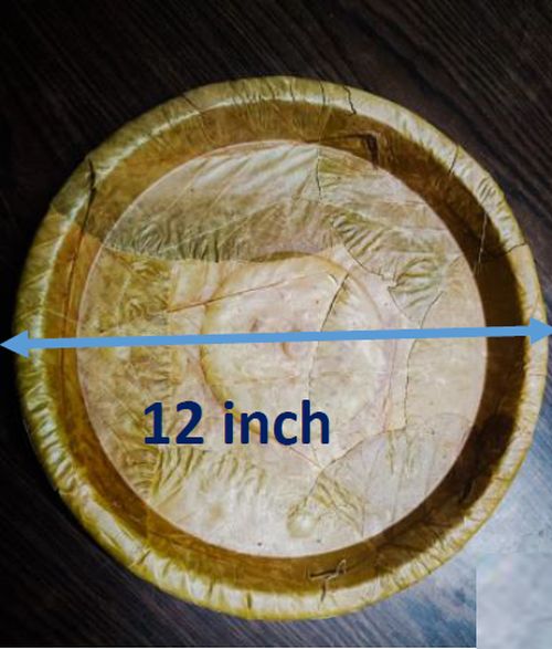 12 Inch Sal Leaf Plates for Serving Food