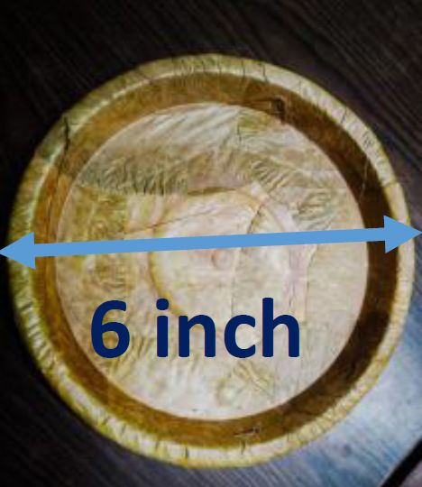 6 Inch Sal Leaf Plates for Serving Food