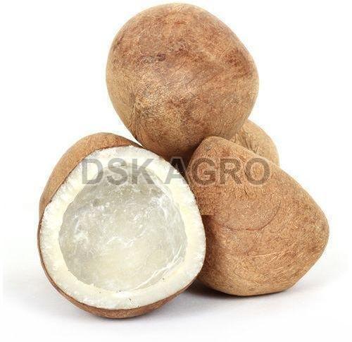 Dried Copra Coconut for Cooking, Oil Extraction