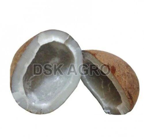 Edible Coconut Copra for Cooking, Direct Consumption