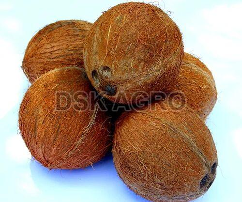 Fully Husked Brown Coconut, for Pooja, Cooking, Direct Consumption