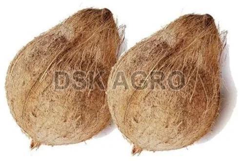 Semi Husked Brown Coconut for Pooja, Cooking, Direct Consumption