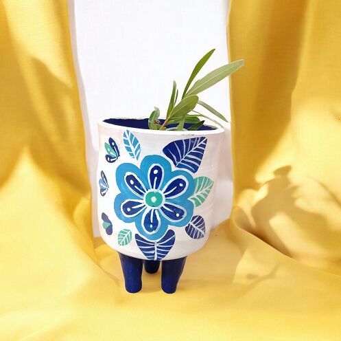 Terracotta Orchid Succulent Bamboo Indoor Outdoor Planter