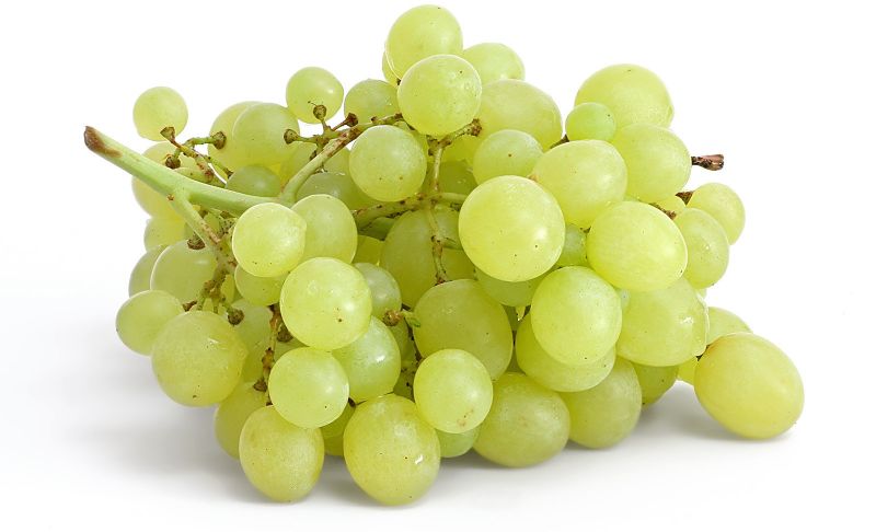 Common Green Grapes for Human Consumption