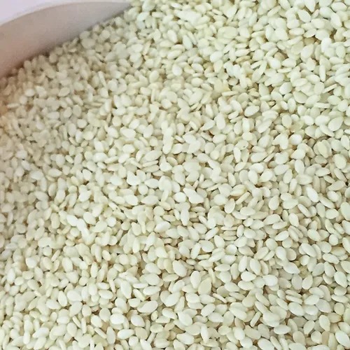 Common White Sesame Seeds for Making Oil