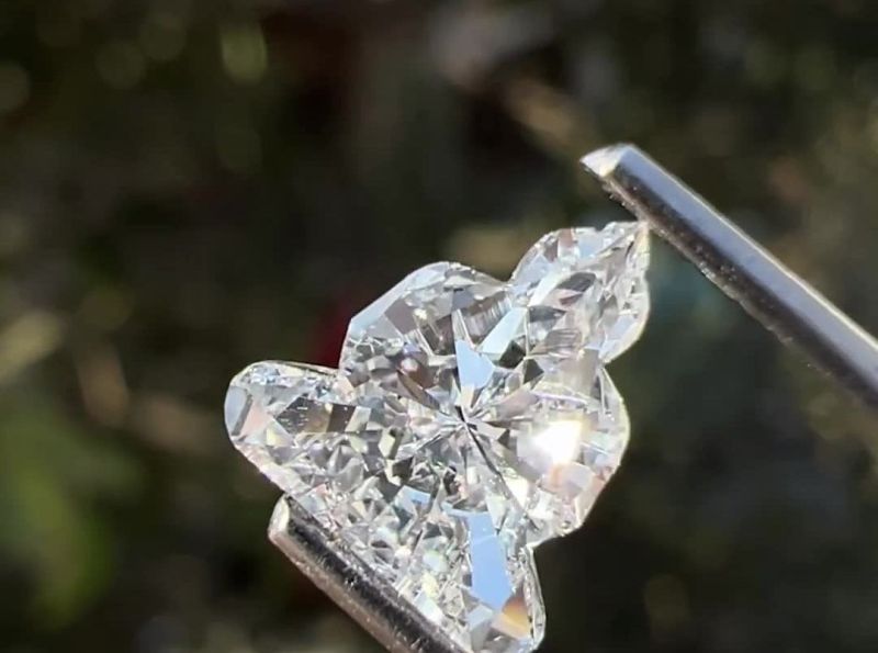 Lord Buddha Cut Lab Grown Diamond for Jewellery