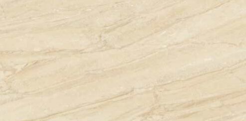 600 X 1200 Mm Vitrified Floor Tile