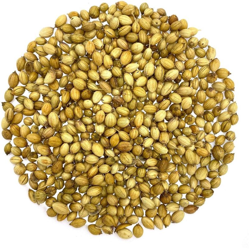Raw Common Coriander Seeds, Packaging Type : Plastic Packet