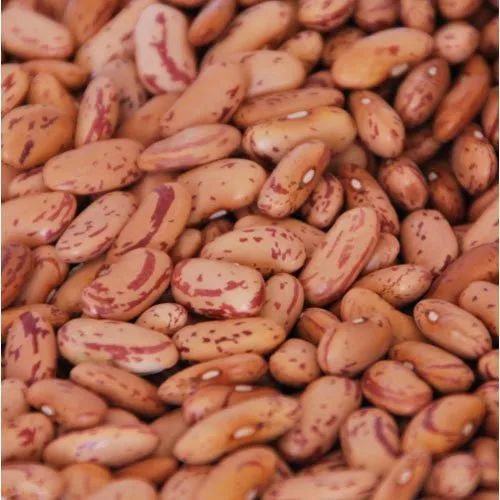 Rajma Beans