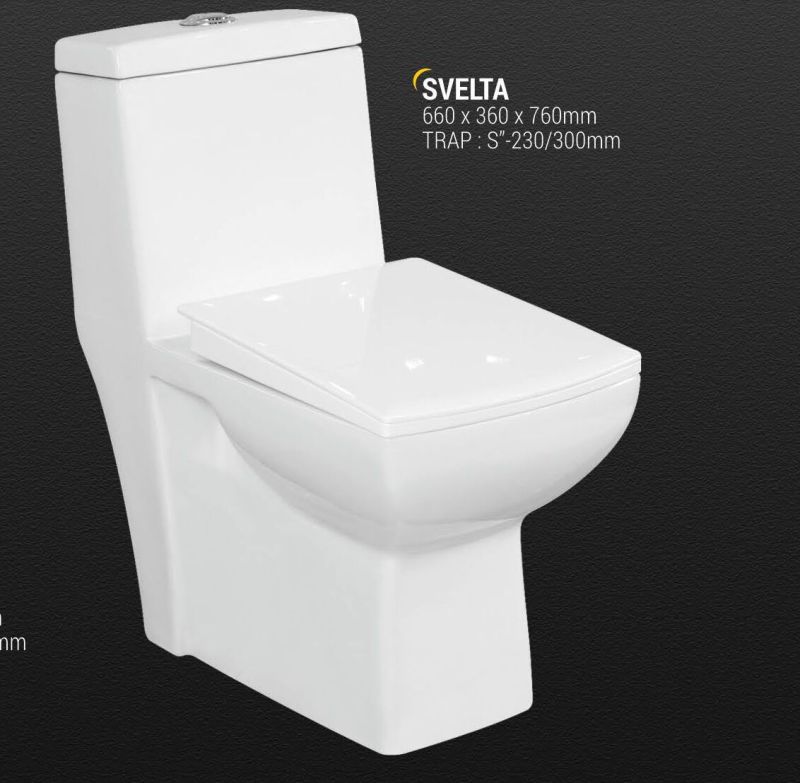 Havit Polished Ceramic Svelta Western Toilet Seats, Shape : Oval